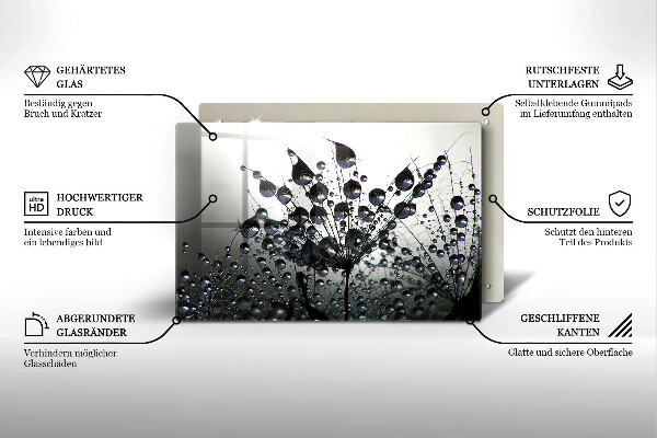 Protetor em vidro para fogão Dente-de-leão e orvalho