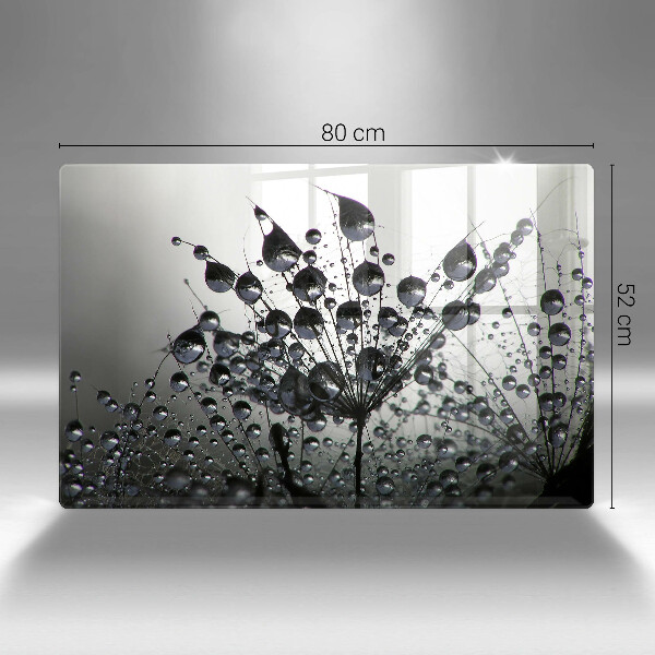 Protetor em vidro para fogão Dente-de-leão e orvalho