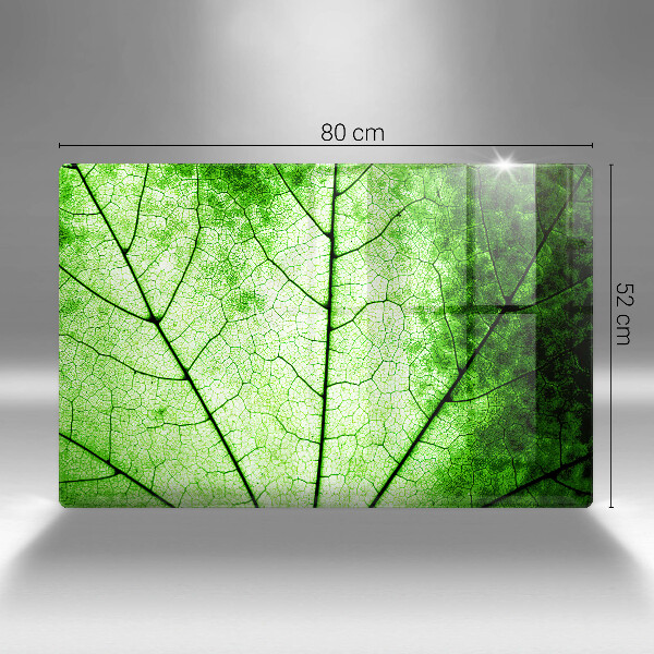 Protetor de fogão de vidro Nervuras decorativas das folhas