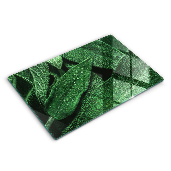 Cobertura placa vitrocerámica As folhas da planta