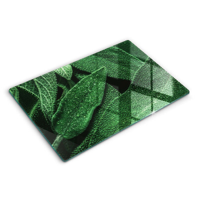 Cobertura placa vitrocerámica As folhas da planta