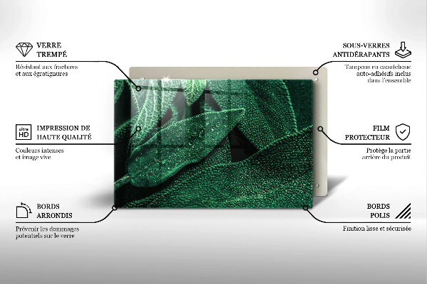 Cobertura placa vitrocerámica As folhas da planta