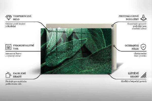 Cobertura placa vitrocerámica As folhas da planta