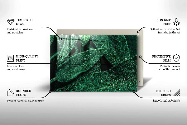 Cobertura placa vitrocerámica As folhas da planta