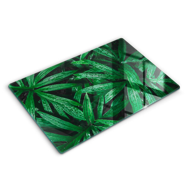 Cobertura placa vitrocerámica Folhas de plantas