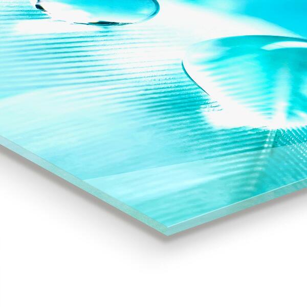 Painel para cozinha Folhas verdes depois da chuva