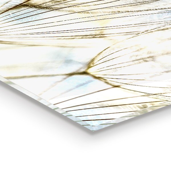 Painel cozinha Dente-de-leão ao vento