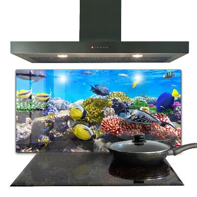 Backsplash cozinha Recife de Coral do Mar Vermelho