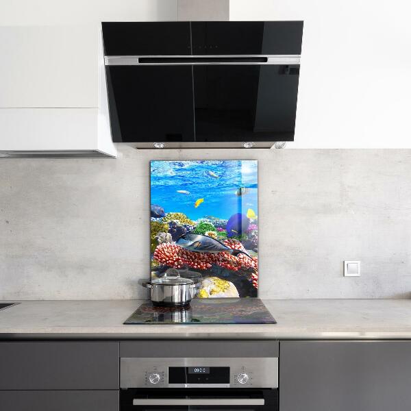 Backsplash cozinha Recife de Coral do Mar Vermelho