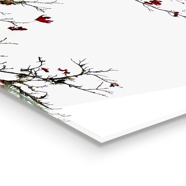 Painel cozinha Balões da Capadócia Türkiye