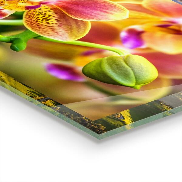 Painel cozinha Orquídea Laranja