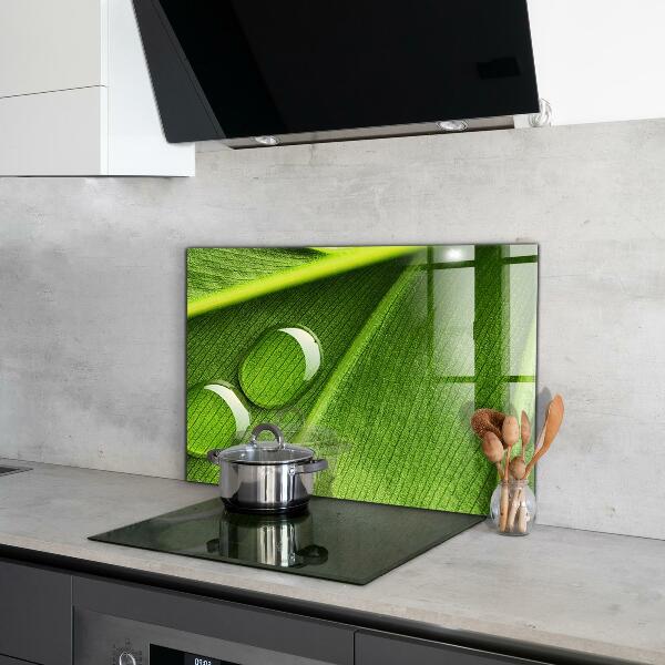 Painel para cozinha Gota de orvalho em uma folha