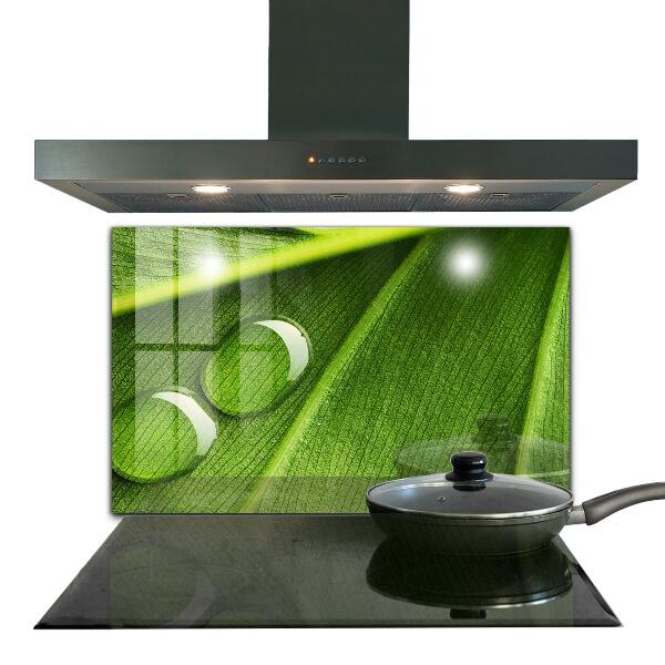 Painel para cozinha Gota de orvalho em uma folha