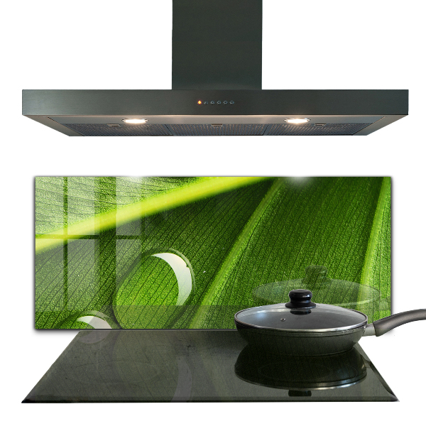 Painel para cozinha Gota de orvalho em uma folha