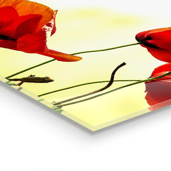 Painel cozinha Gotas de orvalho em uma rosa vermelha