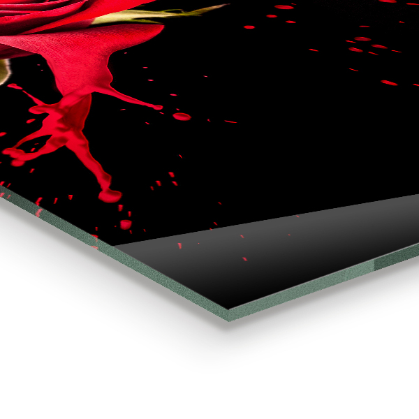 Painel para cozinha Textura de folha sépia