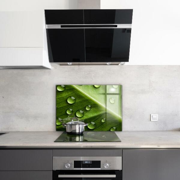 Painel cozinha Planta dente-de-leão no vento