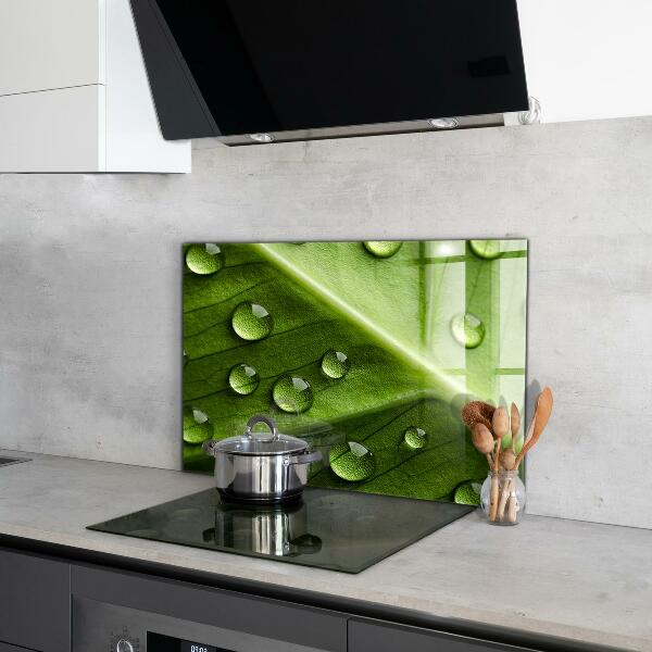 Painel cozinha Planta dente-de-leão no vento