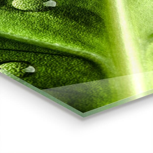 Painel cozinha Planta dente-de-leão no vento