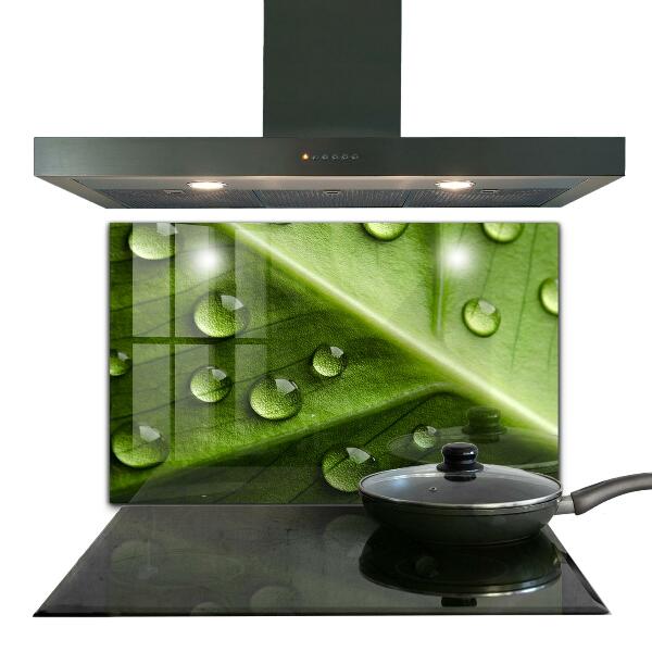 Painel cozinha Planta dente-de-leão no vento