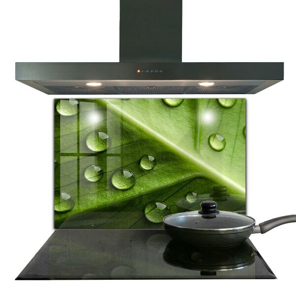 Painel cozinha Planta dente-de-leão no vento