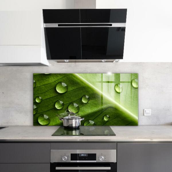 Painel cozinha Planta dente-de-leão no vento