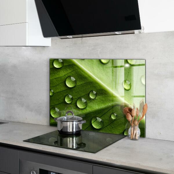 Painel cozinha Planta dente-de-leão no vento