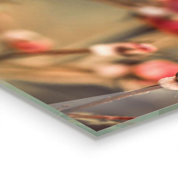 Painel para cozinha Dente-de-leão ao vento