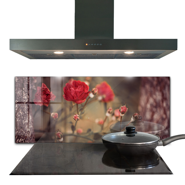 Painel para cozinha Dente-de-leão ao vento