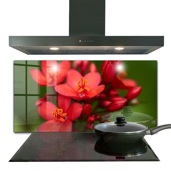 Backsplash cozinha Prado de papoulas de verão