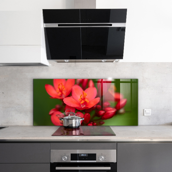 Backsplash cozinha Prado de papoulas de verão