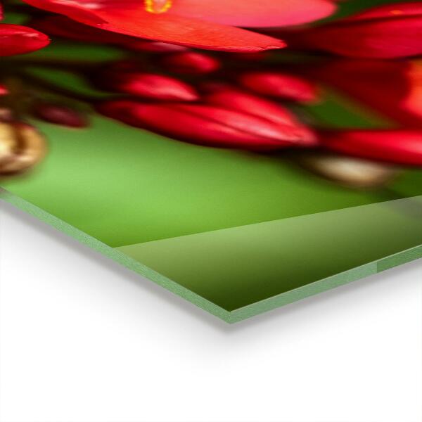 Backsplash cozinha Prado de papoulas de verão