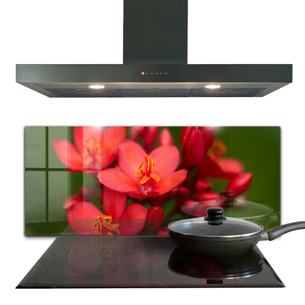 Backsplash cozinha Prado de papoulas de verão