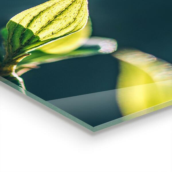 Painel para cozinha Árvore rosa florescendo