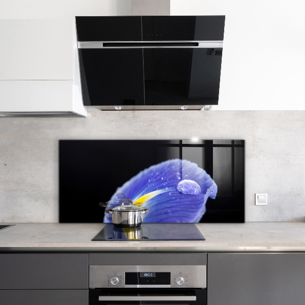 Backsplash cozinha Detalhes da folha verde