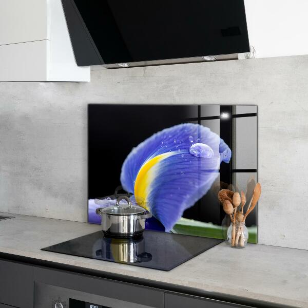 Backsplash cozinha Detalhes da folha verde