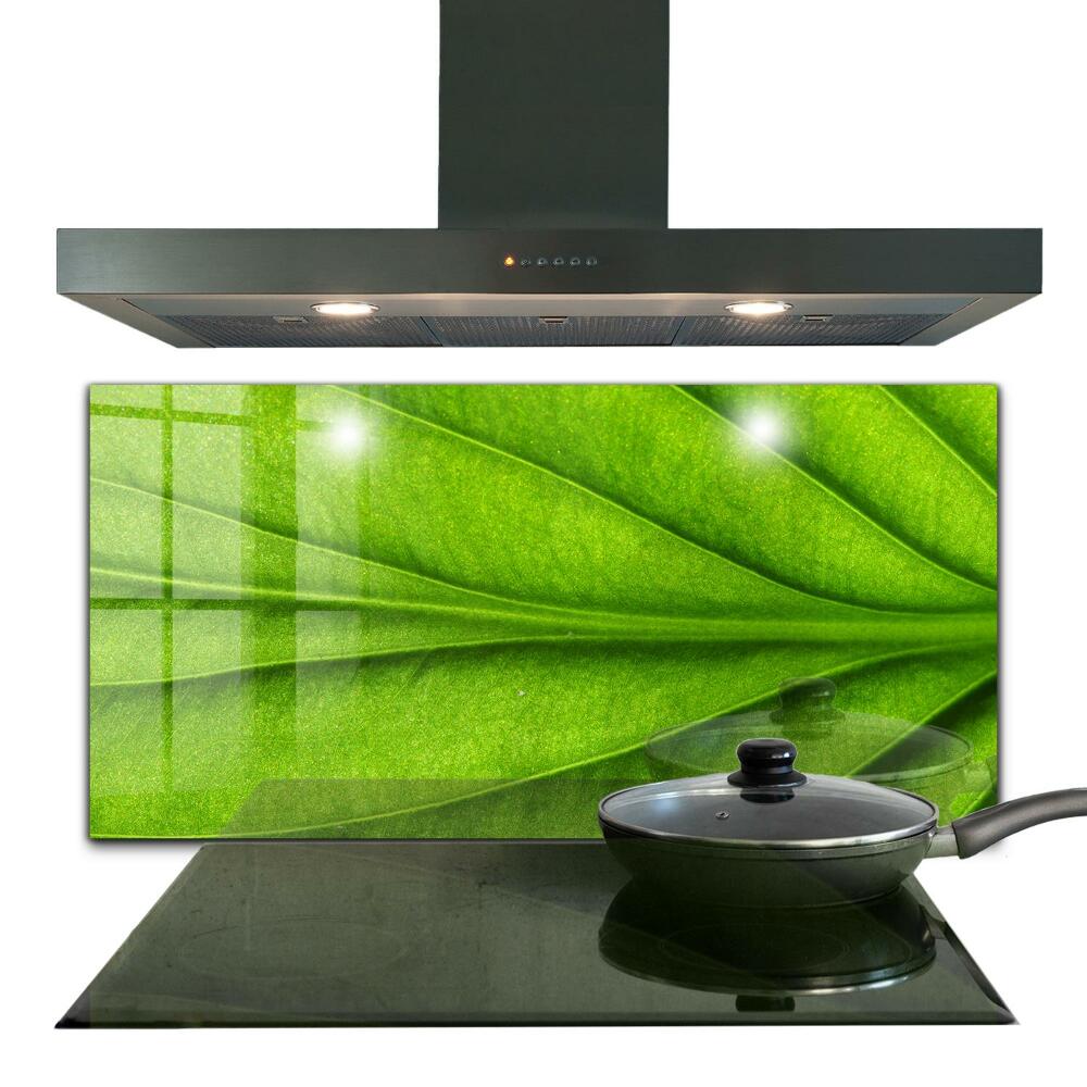 Painel de vidro para a cozinha Detalii Green Leaf