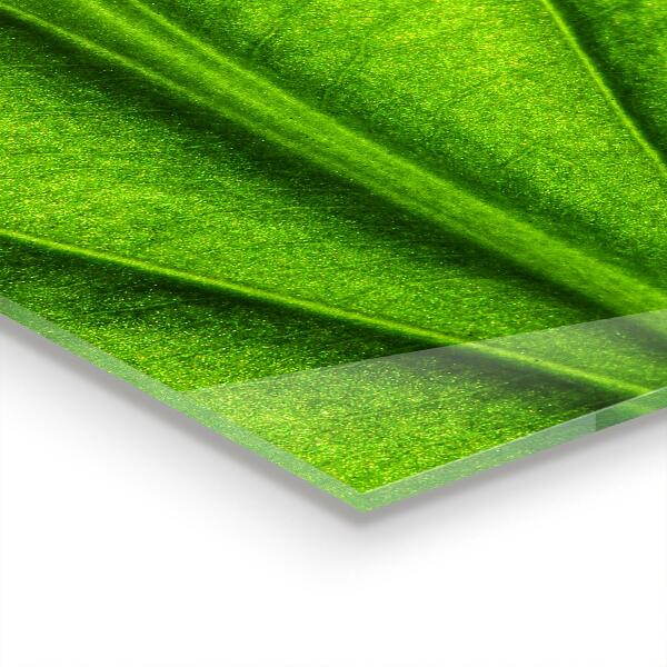 Painel cozinha Composição de flores naturais