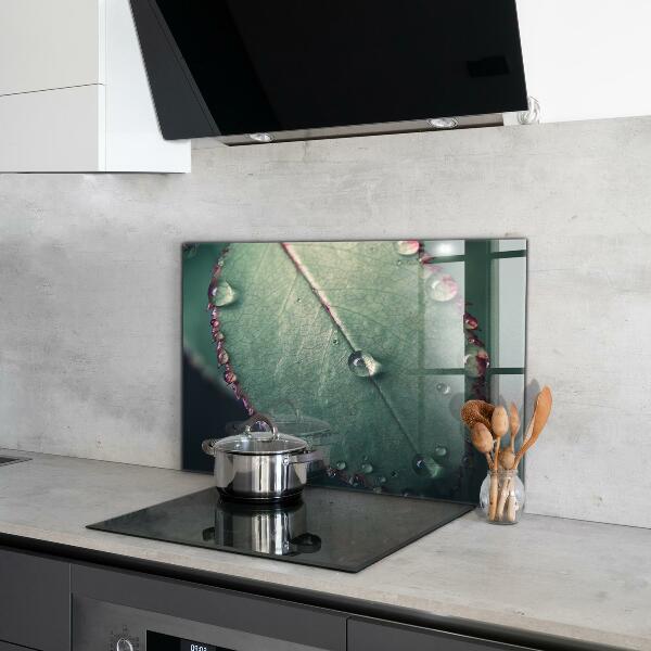 Painel para cozinha Detalhes da Papoula Vermelha