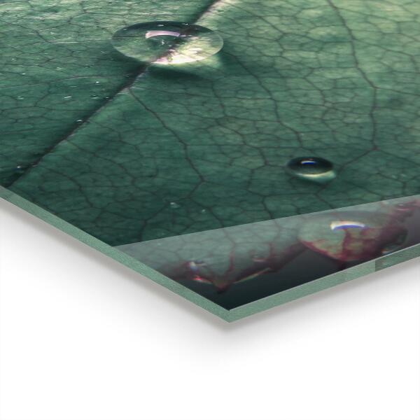 Painel para cozinha Detalhes da Papoula Vermelha