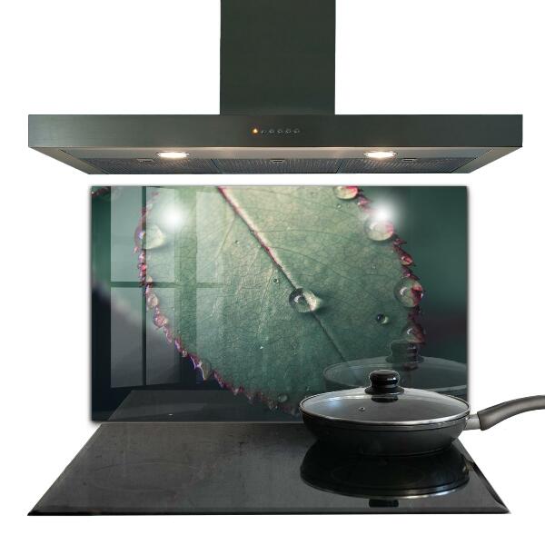 Painel para cozinha Detalhes da Papoula Vermelha