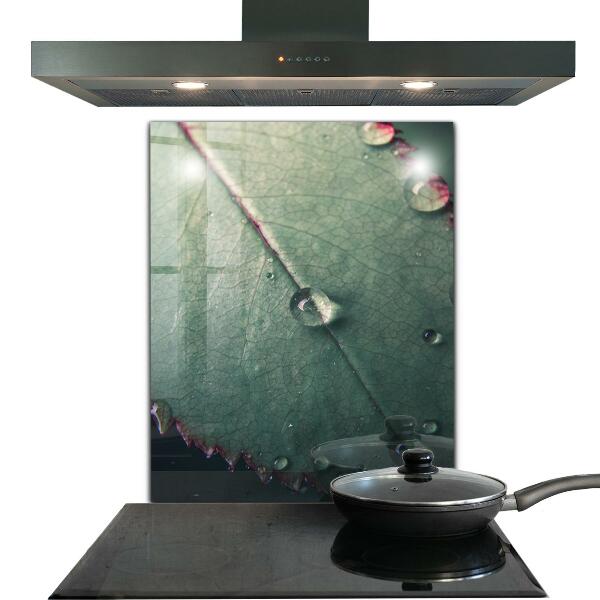 Painel para cozinha Detalhes da Papoula Vermelha