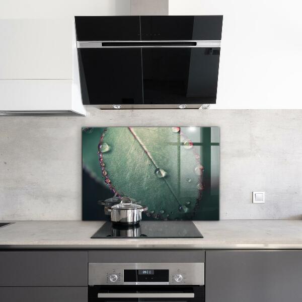 Painel para cozinha Detalhes da Papoula Vermelha