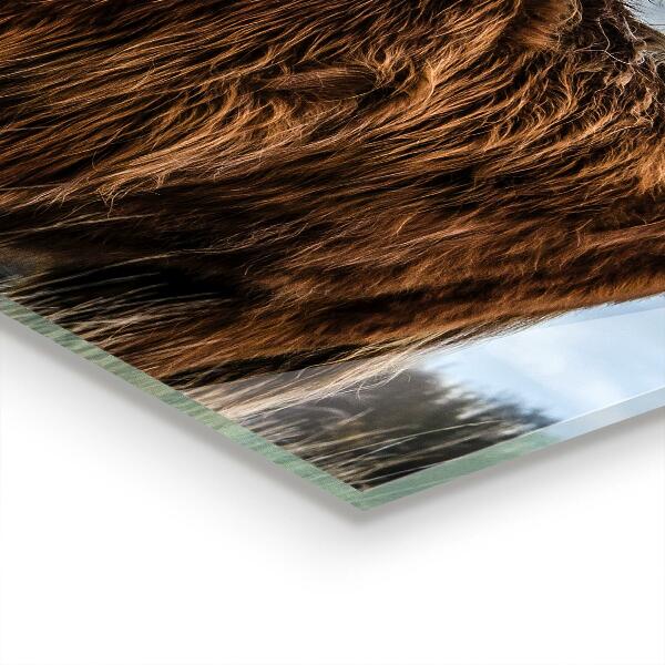 Painel cozinha Vaca Boho das Terras Altas