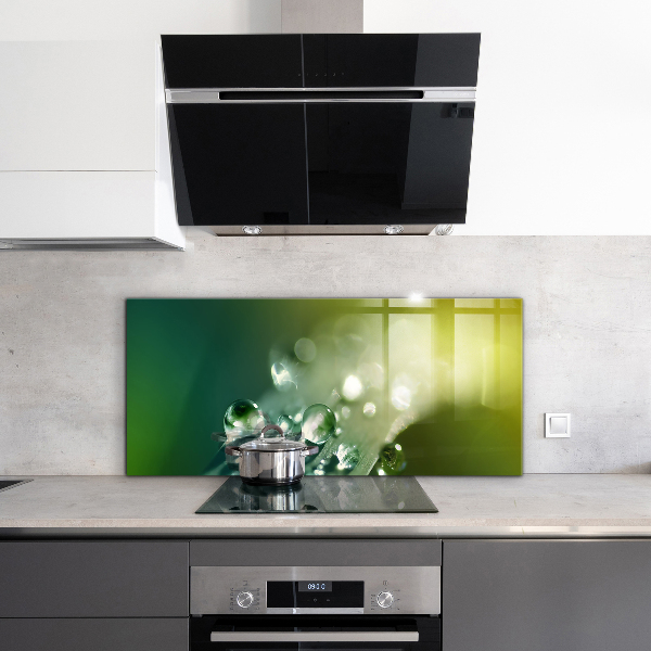 Painel para cozinha Folha verde depois da chuva