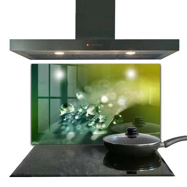 Painel para cozinha Folha verde depois da chuva