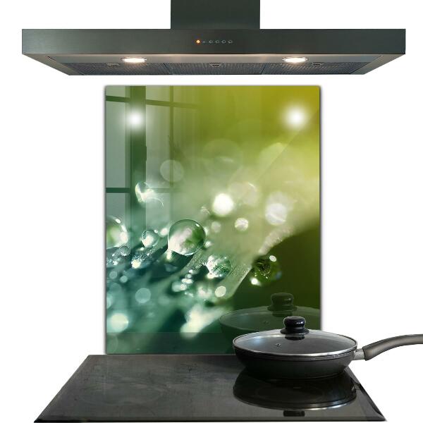 Painel para cozinha Folha verde depois da chuva