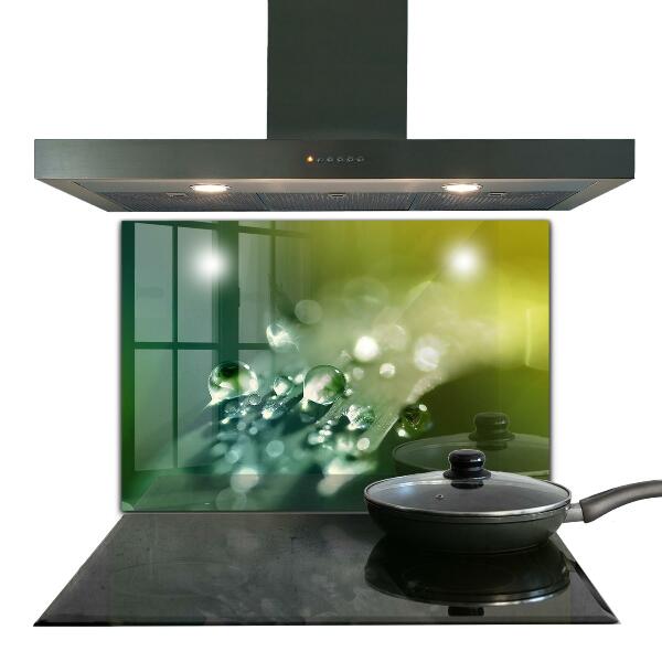 Painel para cozinha Folha verde depois da chuva