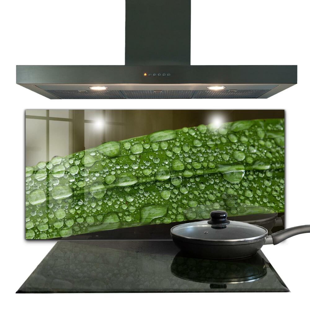 Lacobel para cozinhas Frunză Verde După Ploaie