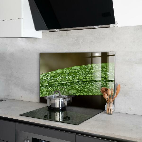 Backsplash cozinha Gotas de orvalho na grama